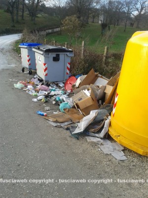 Veleno per topi tra i rifiuti in strada Novepani