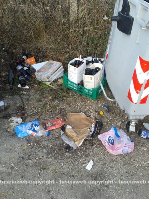 Veleno per topi tra i rifiuti in strada Novepani