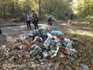 Una discarica sui monti Cimini 