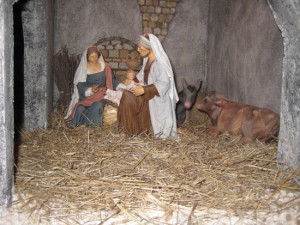 Natale - Il presepe del Murialdo