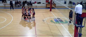 Scarabeo in campo