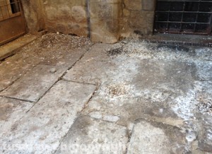 Escrementi sulle strade del centro storico
