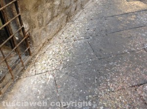 Escrementi sulle strade del centro storico