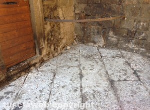 Escrementi sulle strade del centro storico