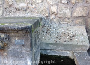 Escrementi sulle strade del centro storico