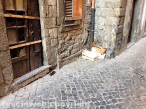 Rifiuti in giro per il centro storico