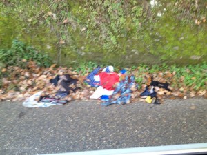 Strada Caselle