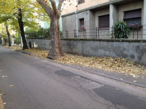 Marciapiedi invasi da foglie