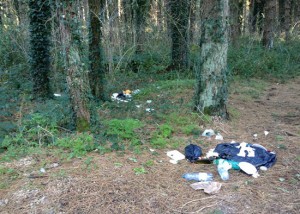 Ripulito il tratto di strada Romana 