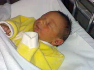 Il piccolo Francesco 