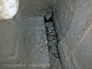 Escrementi di piccione a palazzo dei Priori