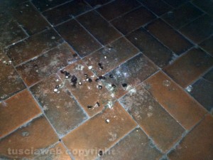 Escrementi di piccione a palazzo dei Priori