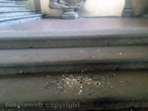 Escrementi di piccione a palazzo dei Priori