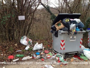 Un cassonetto in strada Novepani