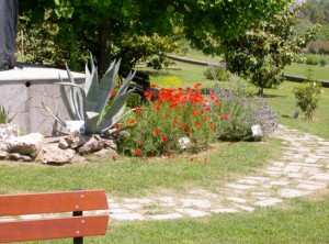 Viterbo - Orto botanico