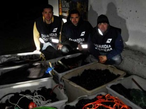 Gli uomini della capitaneria di porto con i ricci sequestrati