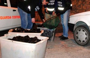 I ricci sequestrati