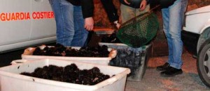 I ricci sequestrati