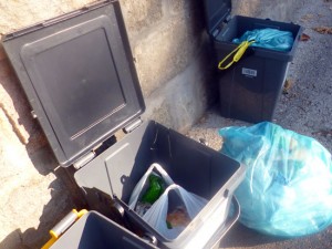 L'immondizia sulla Sammartinese 