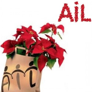 Le stelle di natale Ail 