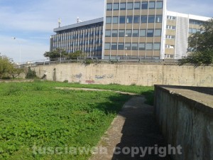 Il degrado nel giardino di Via Rasetti