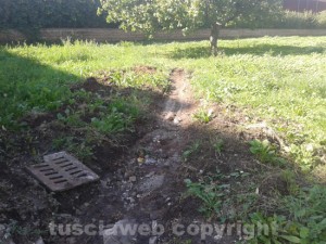 Il degrado nel giardino di Via Rasetti