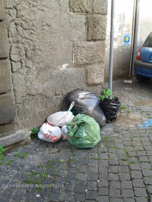 L'immondizia non raccolta a via Chigi