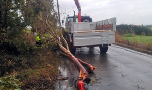 Camion con il braccio meccanico