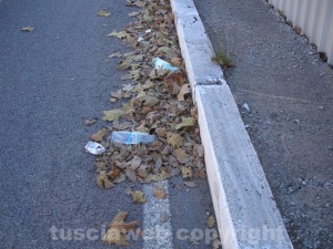 I rifiuti nella zona tra via Galvani e  il tribunale di Viterbo
