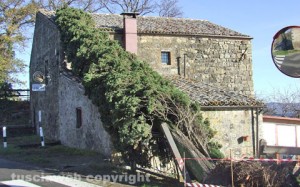 Il cipresso crollato sul ristorante