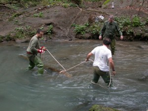Guardiaparco al lavoro nel fiume Treja
