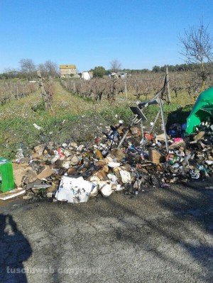 Strada Freddano -  Il cassonetto incendiato e i residui sparsi