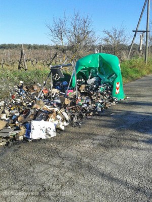 Strada Freddano -  Il cassonetto incendiato e i residui sparsi