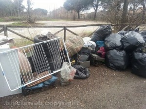 L'immondizia raccolta