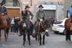 Viterbo - Sant'Antonio abate - Cavalli e butteri in piazza
