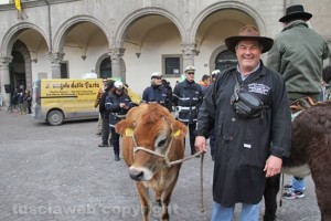 Viterbo - Sant'Antonio abate - Cavalli e butteri in piazza