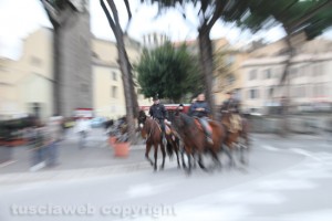 Viterbo - Sant'Antonio abate - Cavalli e butteri in piazza