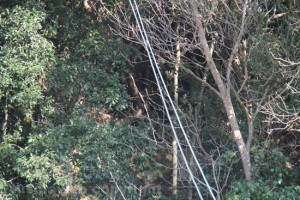 L'elicottero precipitato - Il cavo tranciato