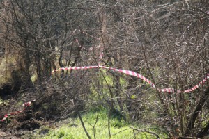 Tuscania - La boscaglia dove è precipitato l'elicottero 