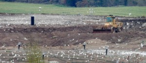 Viterbo, la discarica di Monterazzano