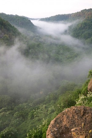 La nebbia sul fiume Treja 