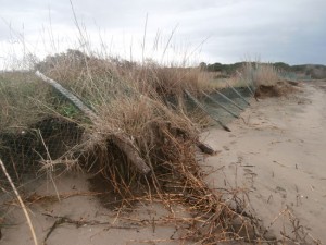 Il tratto di recinzione abbattuto alle Saline 