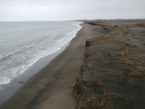 Il tratto di recinzione abbattuto alle Saline 