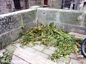 Le foglie in piazza XX Settembre