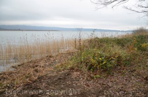 Il luogo sul lago di Vico dove è stato trovato il corpo del professore Leonello Catalani 