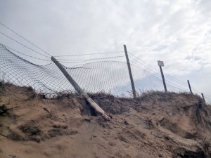 Gli effetti dell'erosione sulla spiaggia delle Saline 