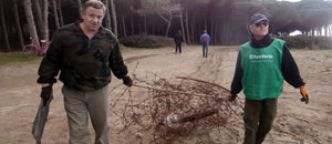 Il filo di ferro ritrovato sulla spiaggia