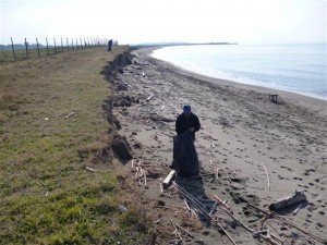 Gli effetti dell'erosione sulla spiaggia delle Saline 