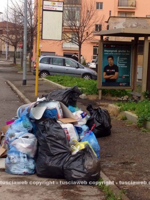 L'immondizia da raccogliere