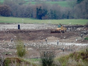 Viterbo - La discarica di Monterazzano 